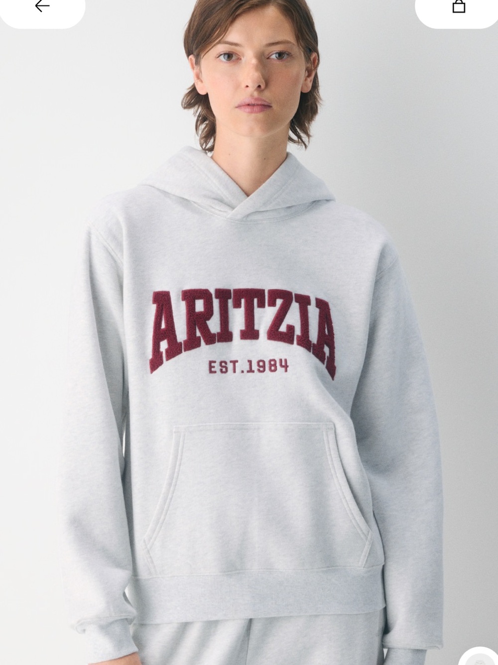 Aritzia Cozy Sweatfleece Perfect Hoodie - Picture 3 of 6